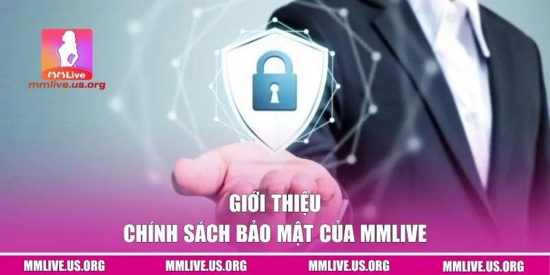 Giới thiệu chung về chính sách bảo mật của MMLIVE