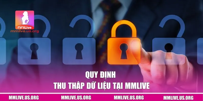 Quy định liên quan đến việc thu thập dữ liệu tại MMLIVE
