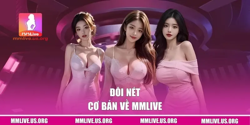 Đôi nét cơ bản về MMLIVE