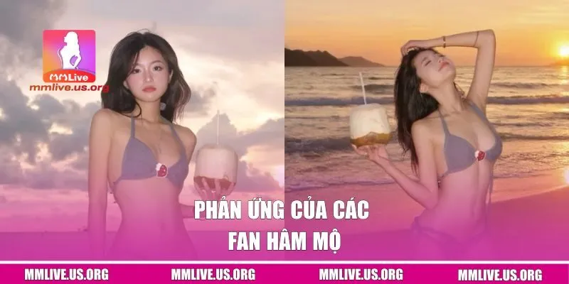 Phản ứng của các fan hâm mộ